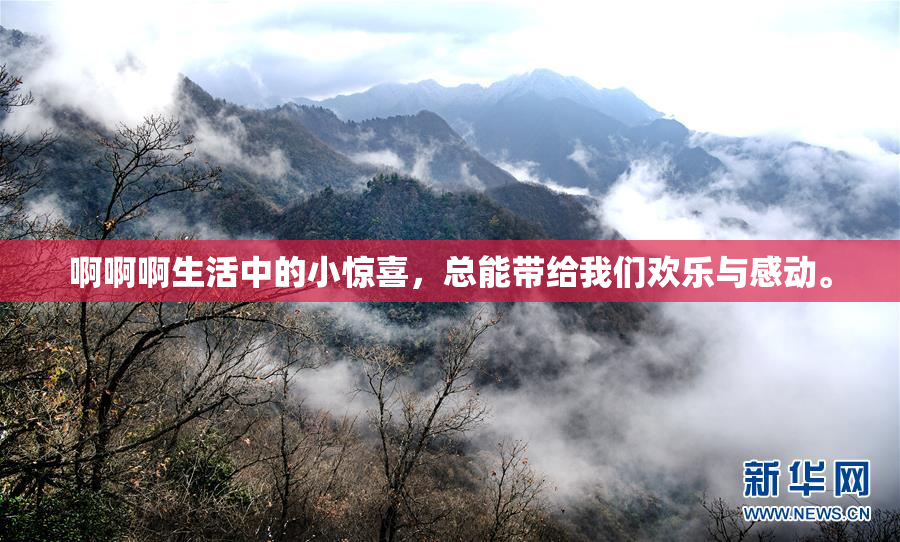 啊啊啊生活中的小惊喜，总能带给我们欢乐与感动。