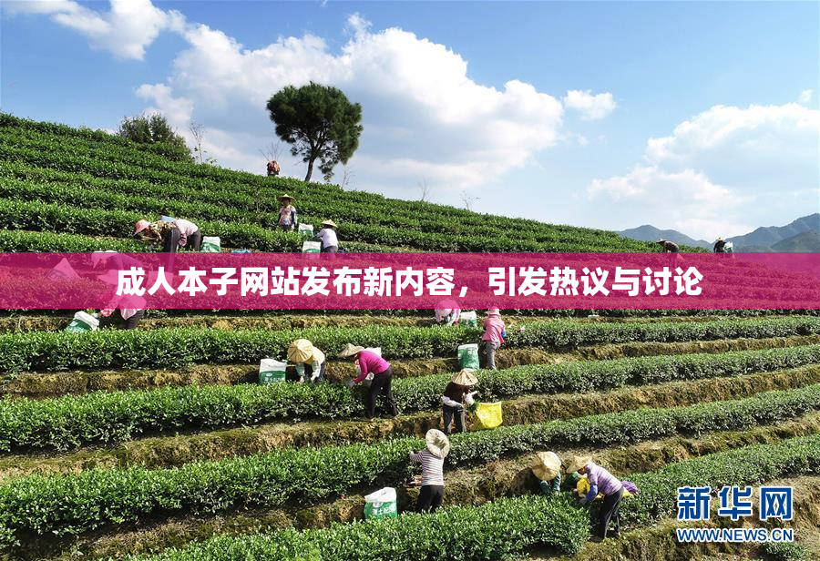 成人本子网站发布新内容，引发热议与讨论