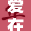 爱在旅途上的奇妙路线与感人故事