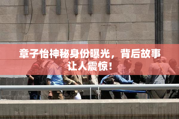 章子怡神秘身份曝光，背后故事让人震惊！