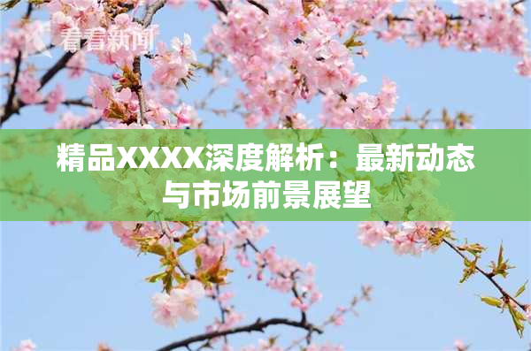 精品XXXX深度解析：最新动态与市场前景展望