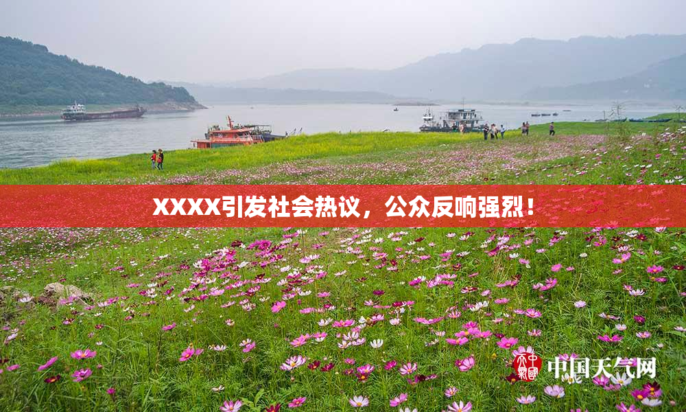 XXXX引发社会热议，公众反响强烈！