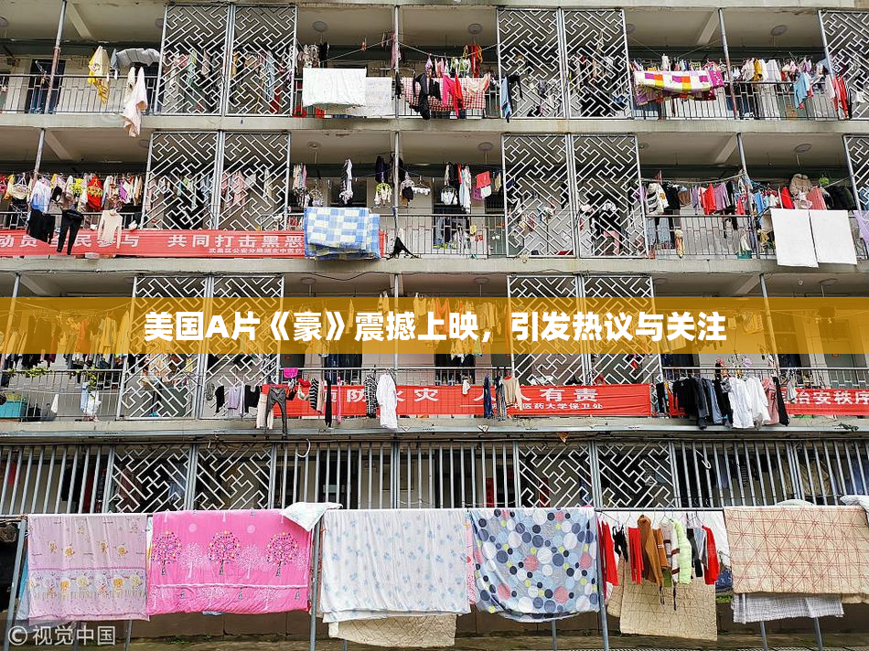 美国A片《豪》震撼上映，引发热议与关注