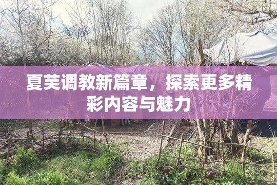 夏芙调教新篇章，探索更多精彩内容与魅力
