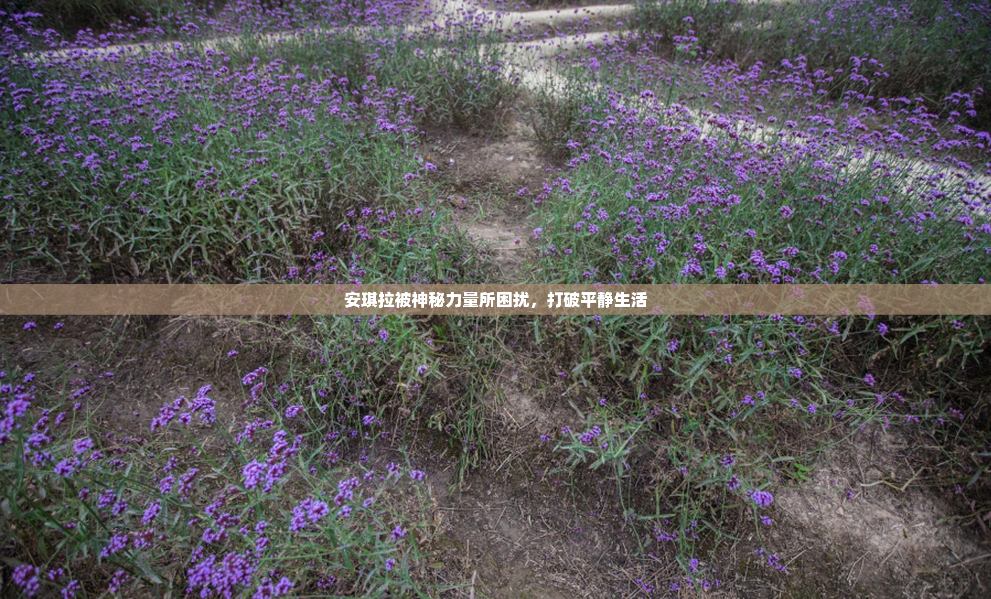 安琪拉被神秘力量所困扰，打破平静生活