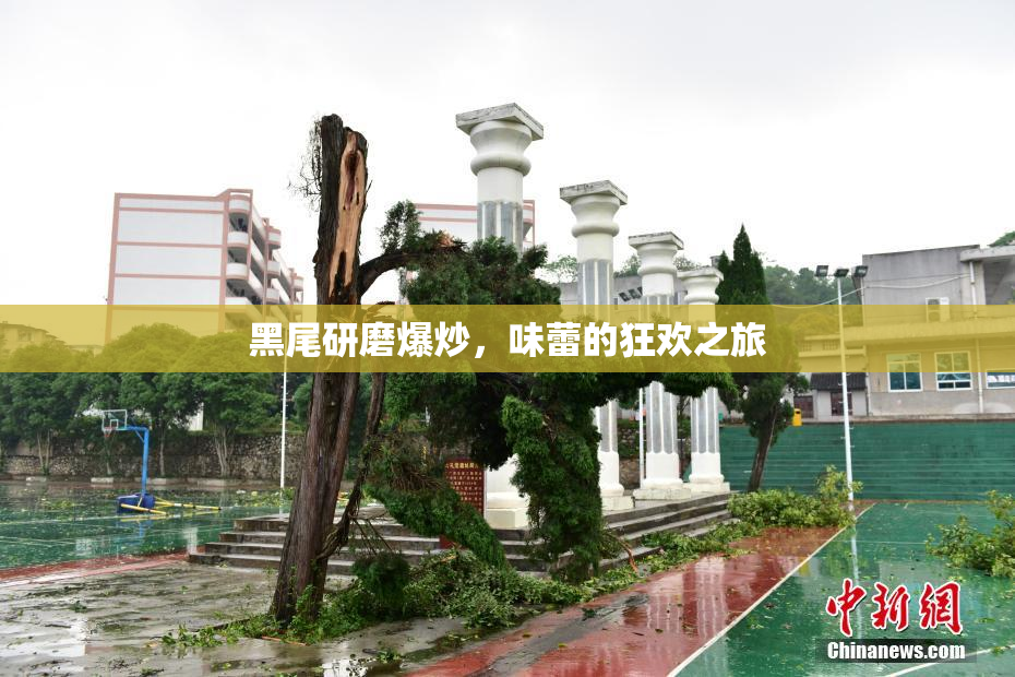 黑尾研磨爆炒，味蕾的狂欢之旅