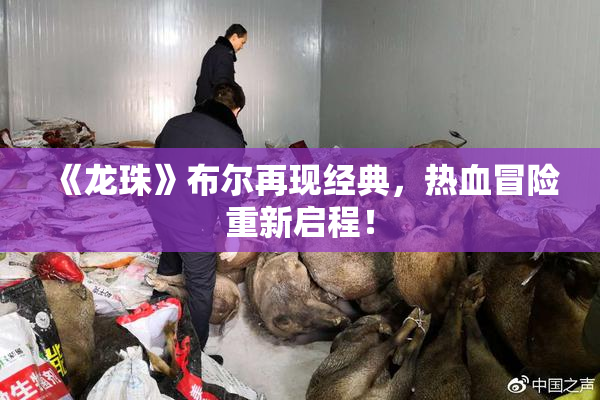《龙珠》布尔再现经典，热血冒险重新启程！