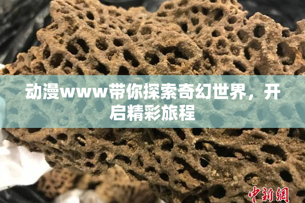动漫www带你探索奇幻世界，开启精彩旅程