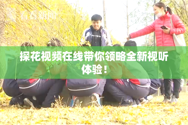 探花视频在线带你领略全新视听体验！