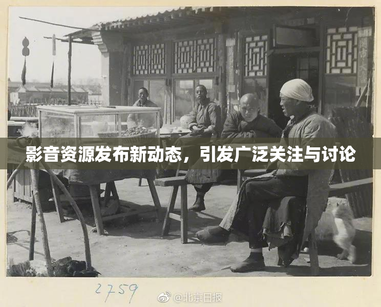 影音资源发布新动态，引发广泛关注与讨论