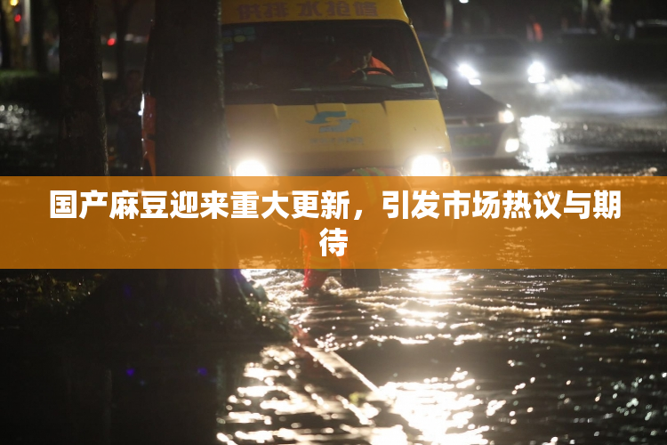 国产麻豆迎来重大更新，引发市场热议与期待