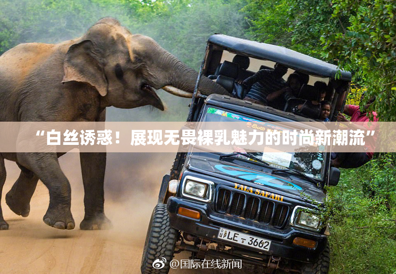 “白丝诱惑！展现无畏裸乳魅力的时尚新潮流”