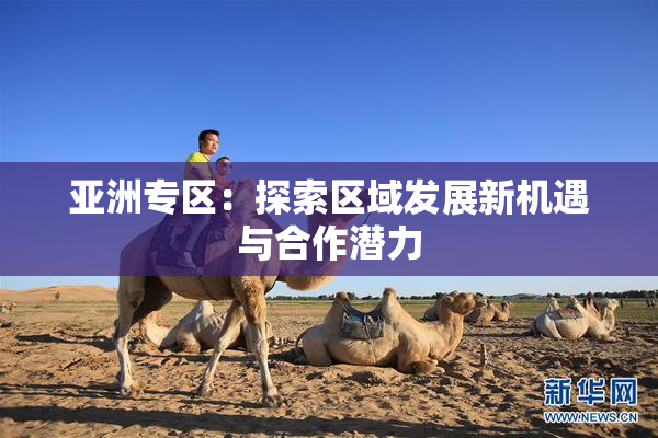 亚洲专区：探索区域发展新机遇与合作潜力