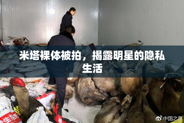 米塔裸体被拍，揭露明星的隐私生活