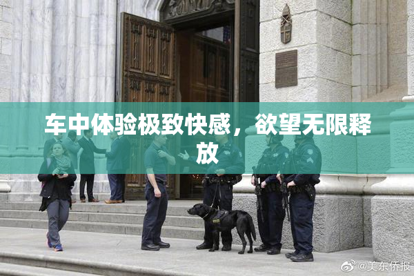 车中体验极致快感，欲望无限释放