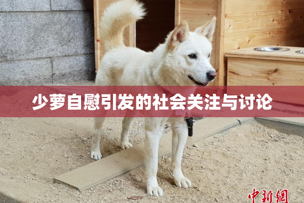 少萝自慰引发的社会关注与讨论