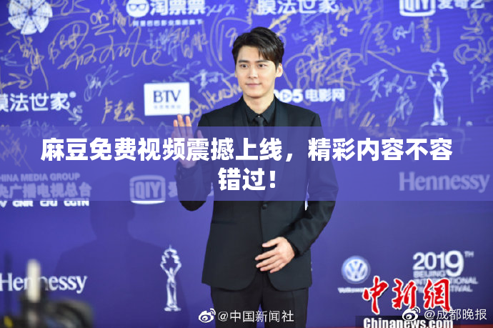 麻豆免费视频震撼上线，精彩内容不容错过！