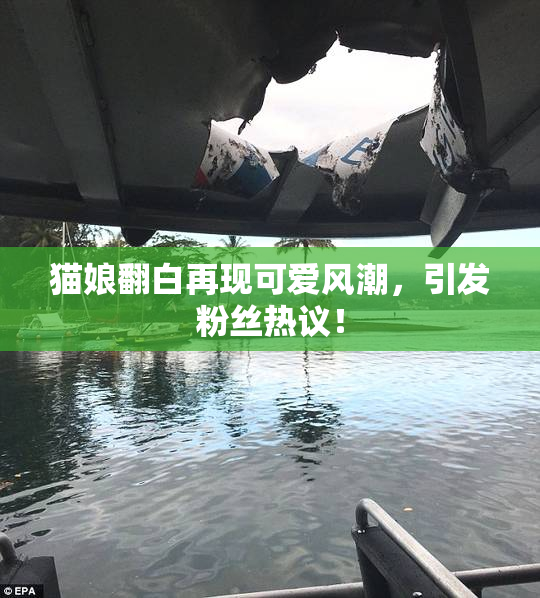 猫娘翻白再现可爱风潮，引发粉丝热议！