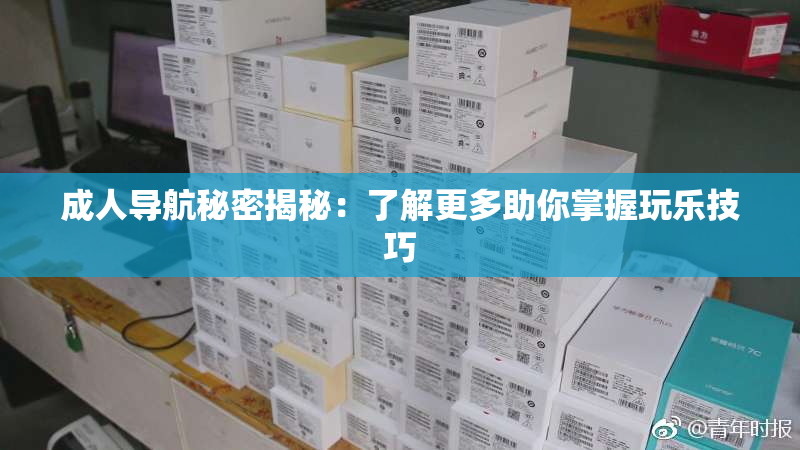 成人导航秘密揭秘：了解更多助你掌握玩乐技巧
