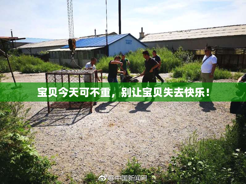 宝贝今天可不重，别让宝贝失去快乐！