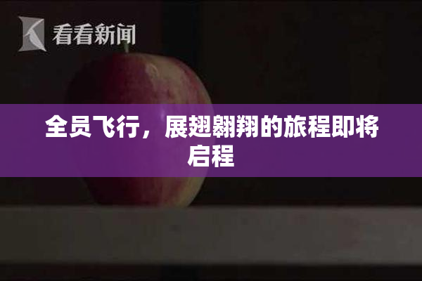 全员飞行，展翅翱翔的旅程即将启程