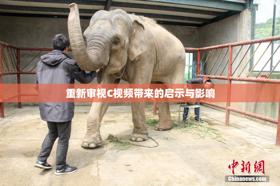 重新审视C视频带来的启示与影响