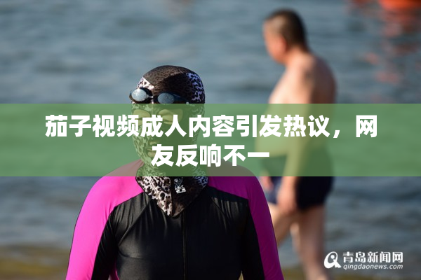 茄子视频成人内容引发热议，网友反响不一