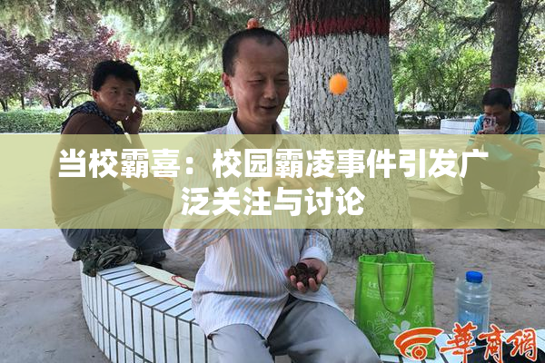 当校霸喜：校园霸凌事件引发广泛关注与讨论