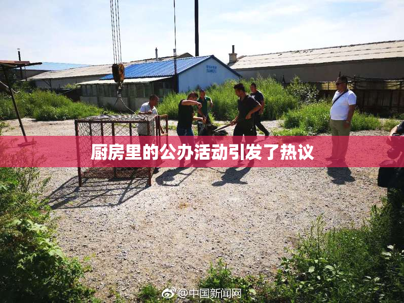 厨房里的公办活动引发了热议