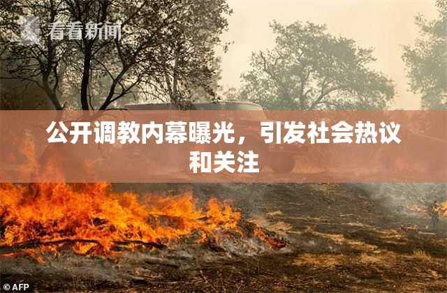 公开调教内幕曝光，引发社会热议和关注