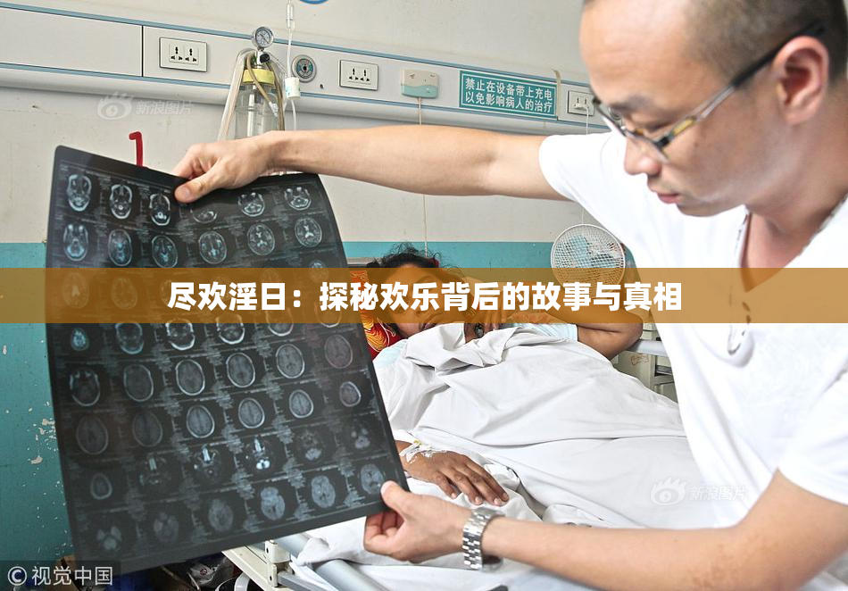 尽欢淫日：探秘欢乐背后的故事与真相