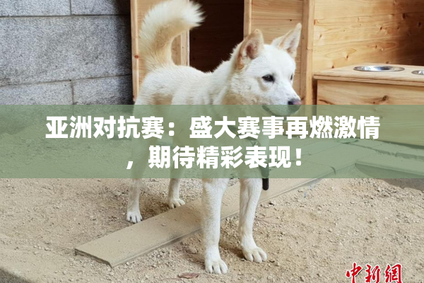亚洲对抗赛：盛大赛事再燃激情，期待精彩表现！