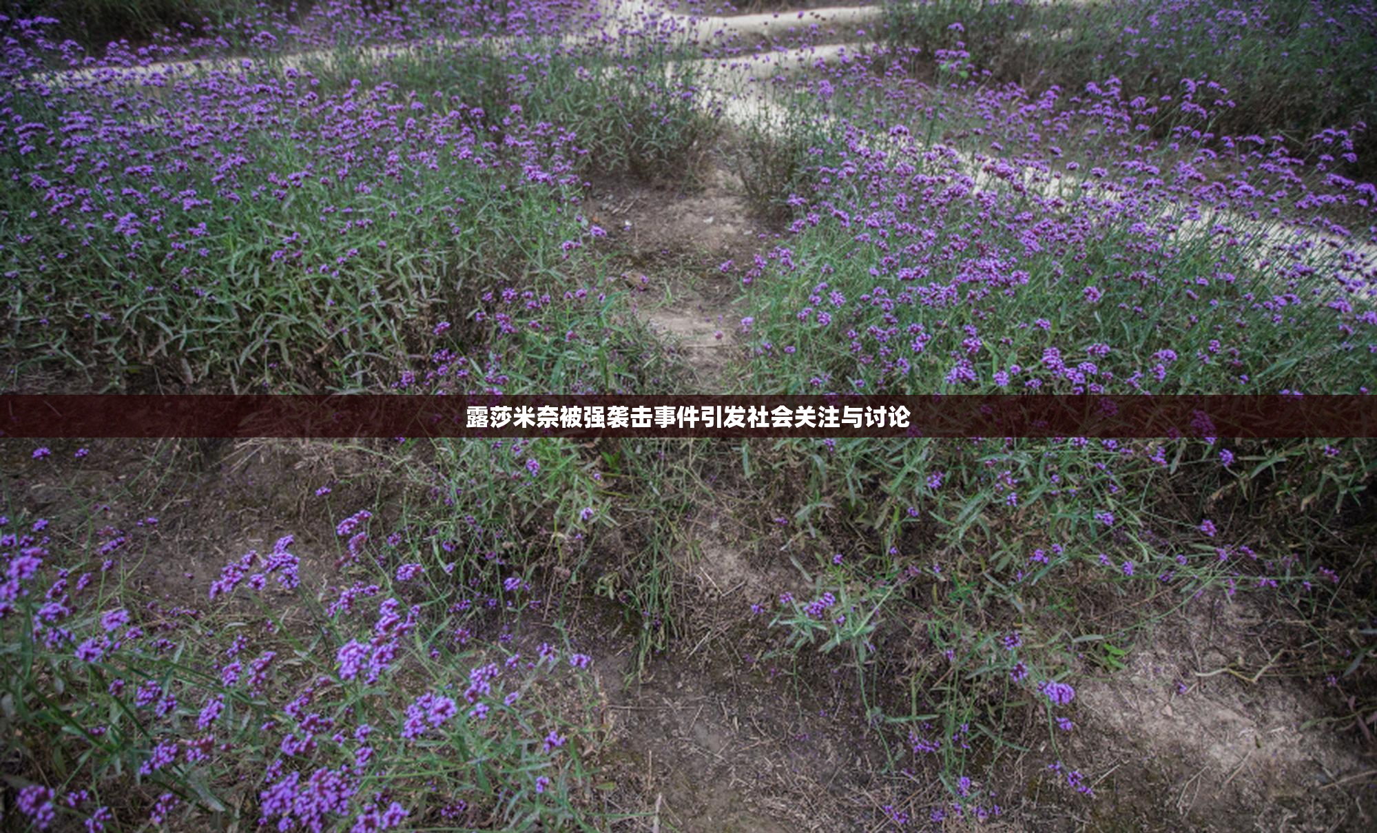 露莎米奈被强袭击事件引发社会关注与讨论