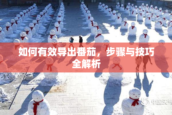 如何有效导出番茄，步骤与技巧全解析
