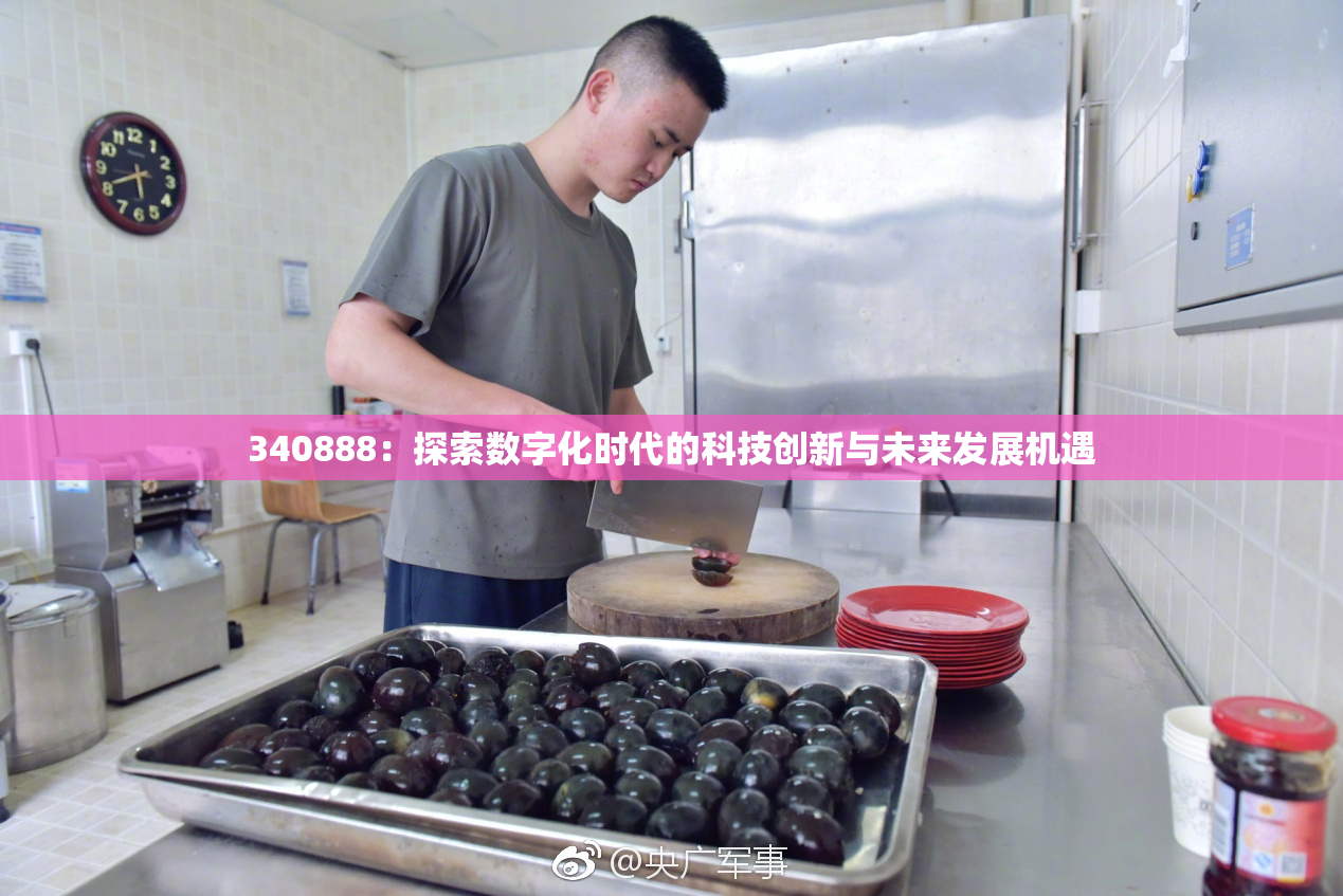 340888：探索数字化时代的科技创新与未来发展机遇