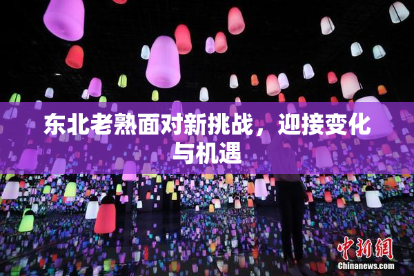 东北老熟面对新挑战，迎接变化与机遇