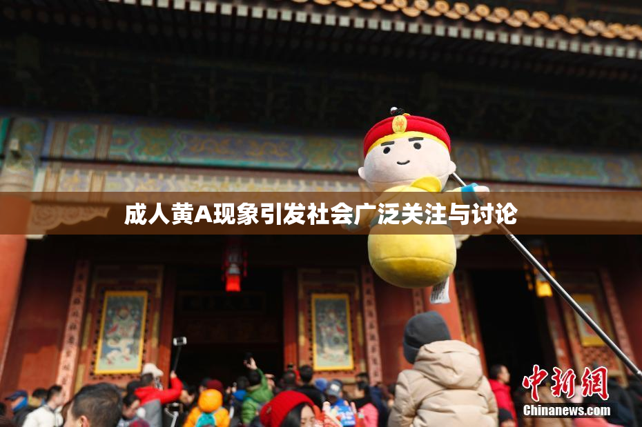 成人黄A现象引发社会广泛关注与讨论