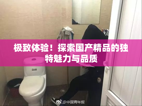 极致体验！探索国产精品的独特魅力与品质