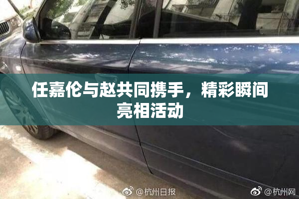 任嘉伦与赵共同携手，精彩瞬间亮相活动