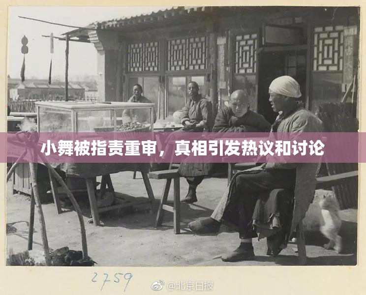 小舞被指责重审，真相引发热议和讨论