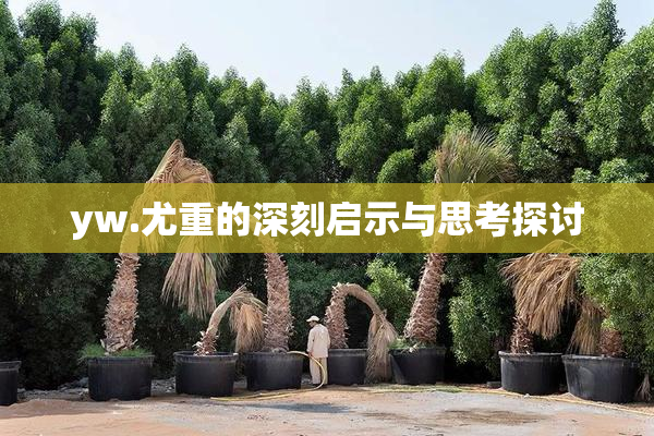 yw.尤重的深刻启示与思考探讨