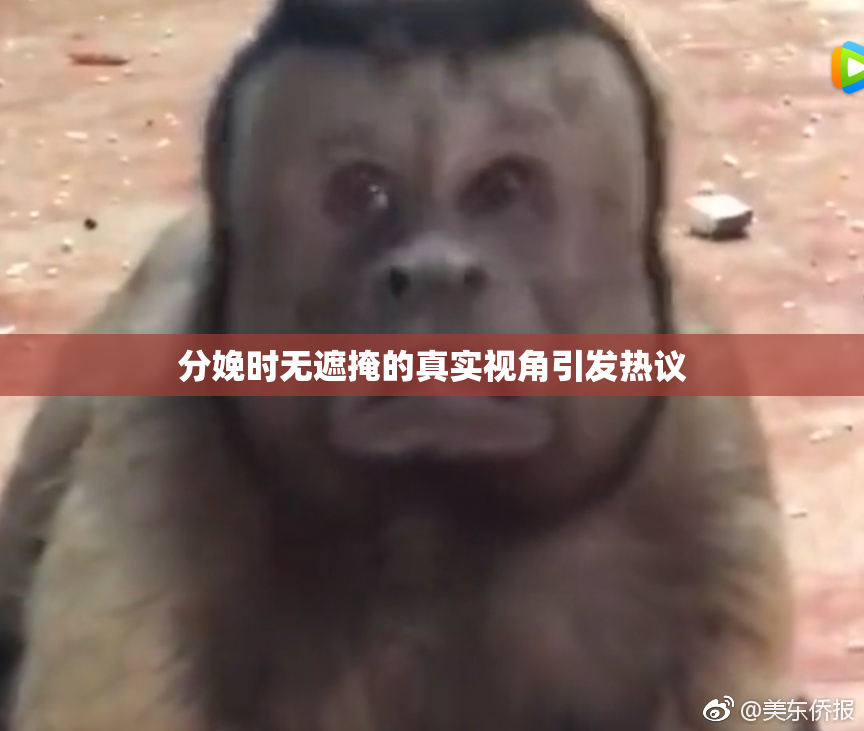 分娩时无遮掩的真实视角引发热议