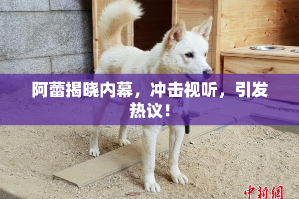 阿蕾揭晓内幕，冲击视听，引发热议！