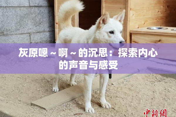 灰原嗯～啊～的沉思：探索内心的声音与感受