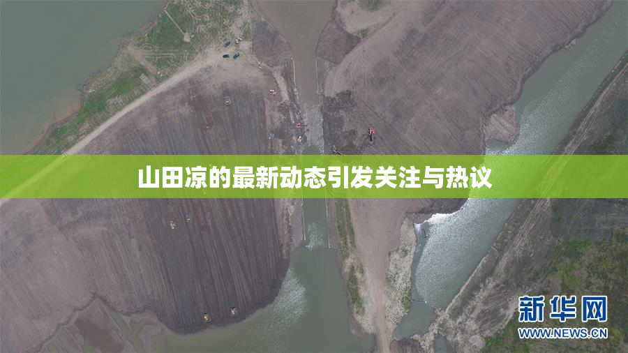 山田凉的最新动态引发关注与热议