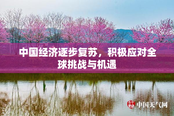 中国经济逐步复苏，积极应对全球挑战与机遇