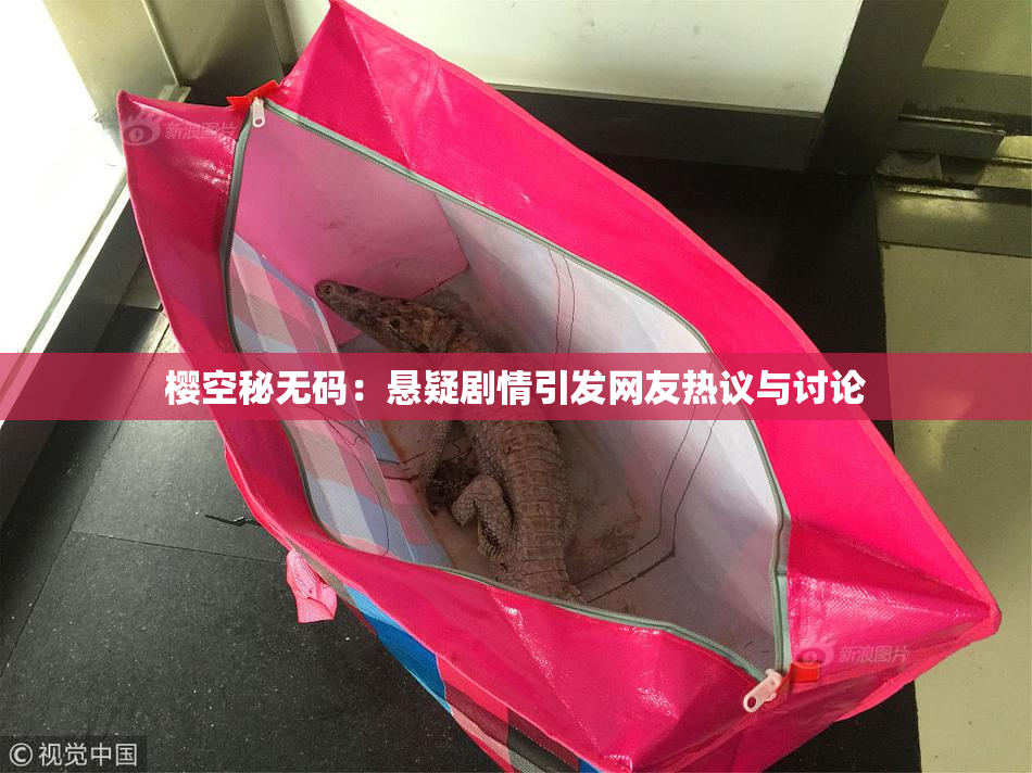樱空秘无码：悬疑剧情引发网友热议与讨论