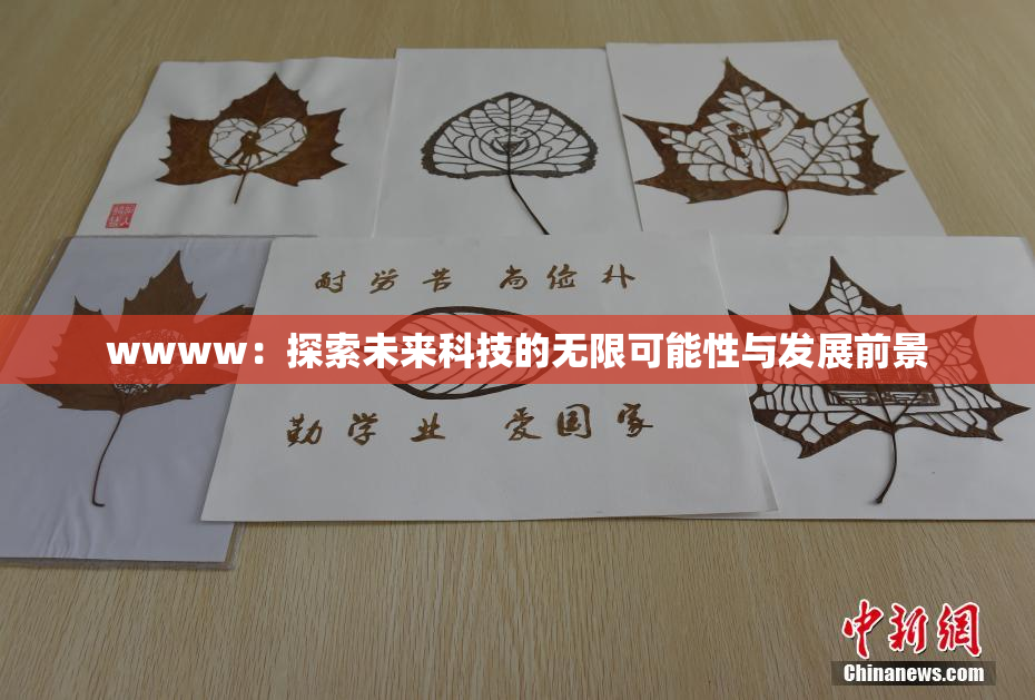 wwww：探索未来科技的无限可能性与发展前景