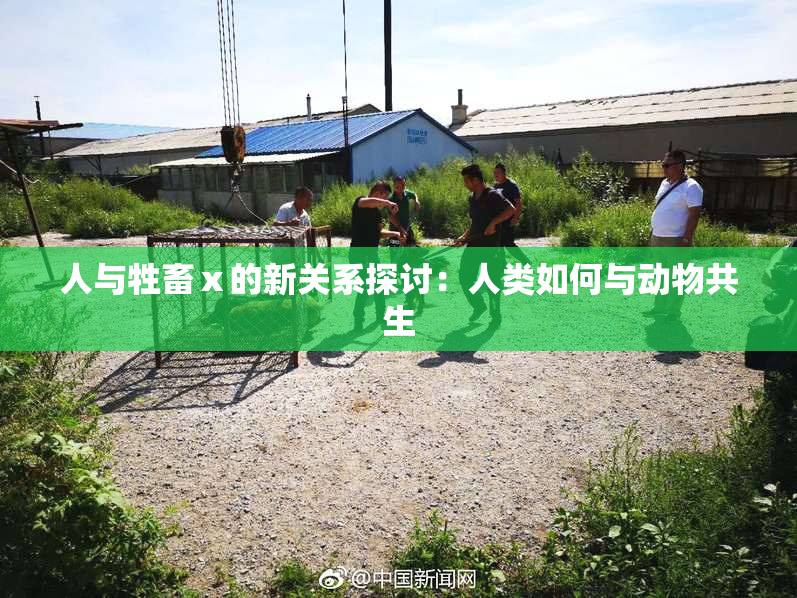 人与牲畜ⅹ的新关系探讨：人类如何与动物共生