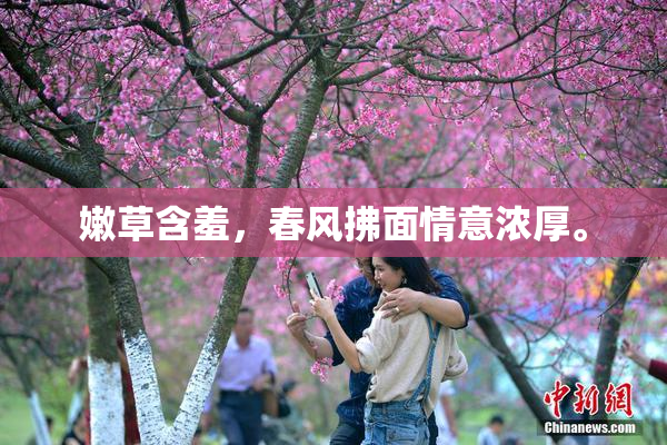 嫩草含羞，春风拂面情意浓厚。